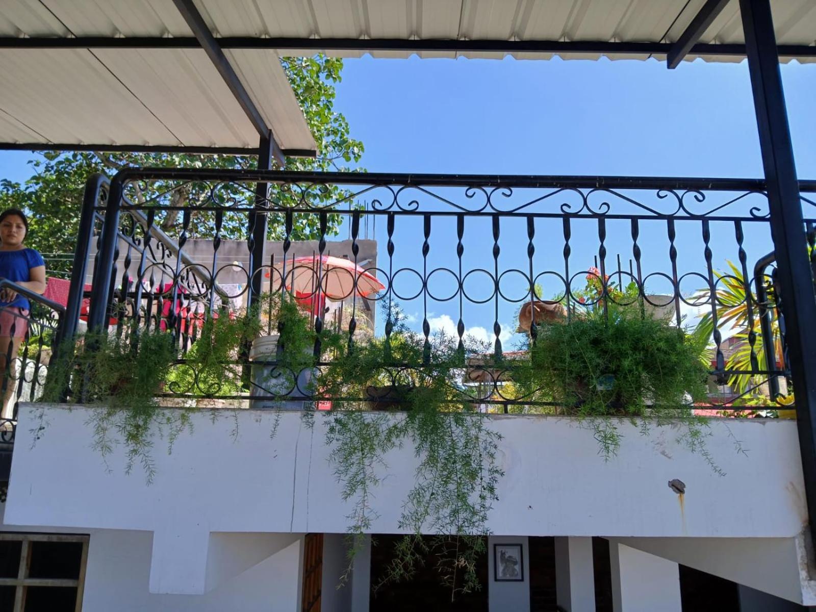 Alojamiento Familiar Custodia Tarapoto Exteriér fotografie
