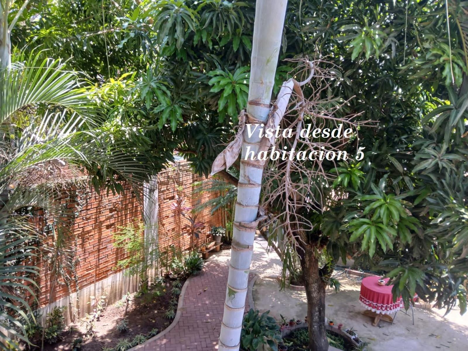 Alojamiento Familiar Custodia Tarapoto Exteriér fotografie